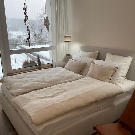 Hearth Hill View Apartment Ustroń Exterior foto